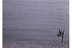 Signature image, click to enlarge