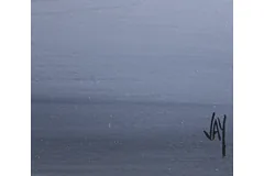 Signature image, click to enlarge