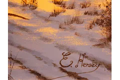 Signature image, click to enlarge