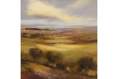 No frame image, click to enlarge