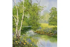 No frame image, click to enlarge
