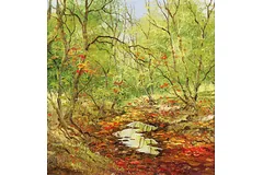 No frame image, click to enlarge