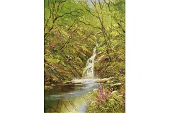 No frame image, click to enlarge