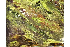 Signature image, click to enlarge