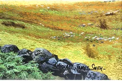 Signature image, click to enlarge
