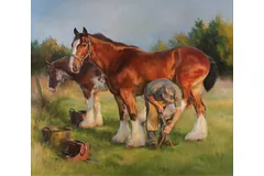 No frame image, click to enlarge