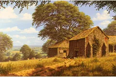 No frame image, click to enlarge