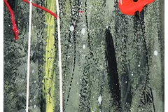 Signature image, click to enlarge