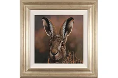 Large image, click to enlarge