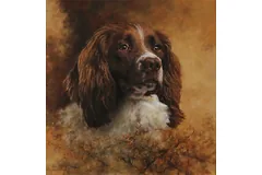 No frame image, click to enlarge