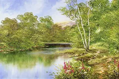 No frame image, click to enlarge