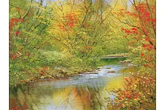 No frame image, click to enlarge