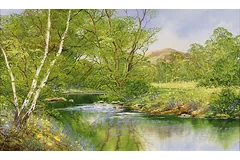 No frame image, click to enlarge