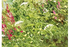 Signature image, click to enlarge