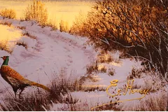 Signature image, click to enlarge