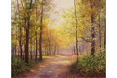 No frame image, click to enlarge