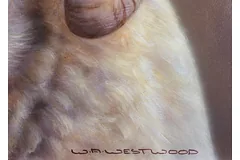 Signature image, click to enlarge