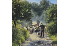 No frame image, click to enlarge