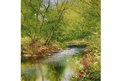 No frame image, click to enlarge