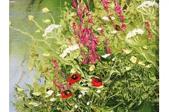 Signature image, click to enlarge