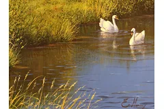 Signature image, click to enlarge