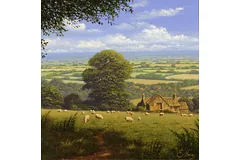 No frame image, click to enlarge