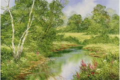 No frame image, click to enlarge