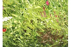 Signature image, click to enlarge