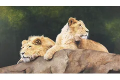 No frame image, click to enlarge