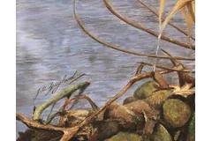 Signature image, click to enlarge