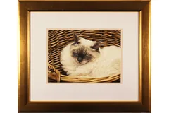 Large image, click to enlarge