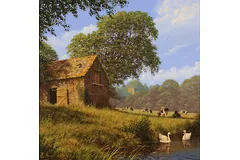 No frame image, click to enlarge