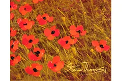 Signature image, click to enlarge