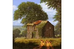 No frame image, click to enlarge