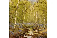 No frame image, click to enlarge