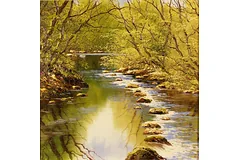 No frame image, click to enlarge