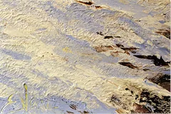 Signature image, click to enlarge