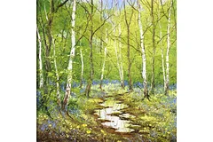 No frame image, click to enlarge