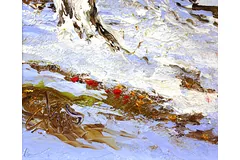 Signature image, click to enlarge