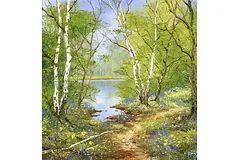 No frame image, click to enlarge