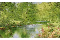 No frame image, click to enlarge