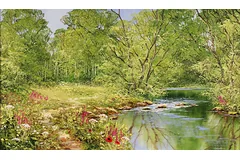 No frame image, click to enlarge
