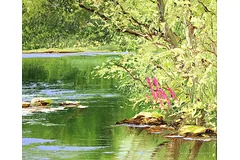 Signature image, click to enlarge