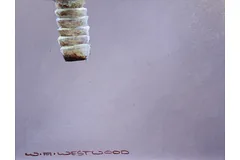 Signature image, click to enlarge