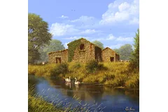 No frame image, click to enlarge