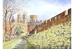 No frame image, click to enlarge
