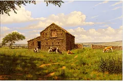 No frame image, click to enlarge