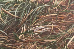 Signature image, click to enlarge
