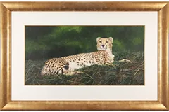 Large image, click to enlarge