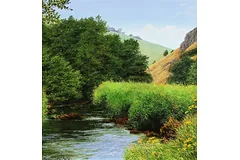 No frame image, click to enlarge